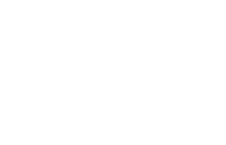 FES Agency logo